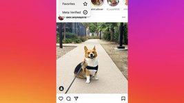 Instagram тестирует отдельную ленту для верифицированных пользователей