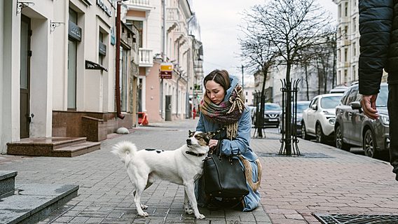 Как стартапер просчитывала «airbnb для животных»: у 60% белорусов питомец, горожане позже заводят детей 