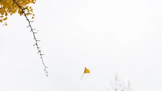 Anthropic напугала рынки новым ИИ-инструментом