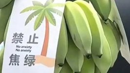 В Китае айтишник выгорел и ушёл продавать бананы. Делает около $300K в месяц