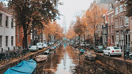 Нидерланды переходят на европейское облако с американских — и они не одни