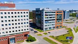 ПВТ нарастил экспорт услуг в 2025. Вот на сколько