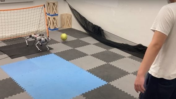 Инженеры научили робопса стоять на воротах и отбивать мяч