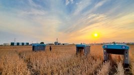 Google разрабатывает сельскохозяйственного робота для повышения урожайности