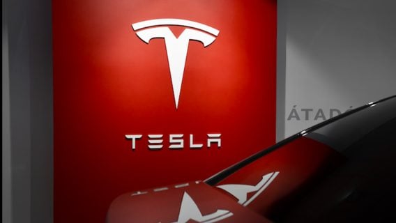 Tesla отложила запуск завода в Германии из-за экоактивистов