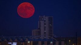 Пользователи во всём мире постили фото «‎оленьей луны»‎ 