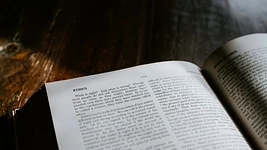 Специальность, над которой смеялись, вдруг стала востребованной: из-за ИИ философам предлагают до $400 тысяч