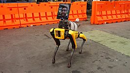 Робособаку Boston Dynamics применяют в борьбе с коронавирусом