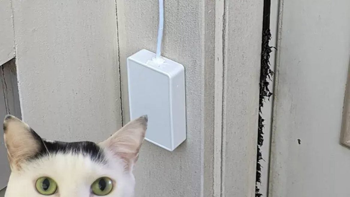 Разработчик создал дверной звонок который реагирует на мяуканье кота