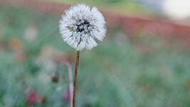 «Пережить это 10-летие». Ловите 45 злободневных пожеланий от комьюнити на 2026 и вообще