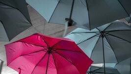 Чёрная пятница в Łatwy Start: как легально работать в Польше и не утонуть в бумагах