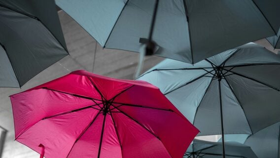 Чёрная пятница в Łatwy Start: как легально работать в Польше и не утонуть в бумагах