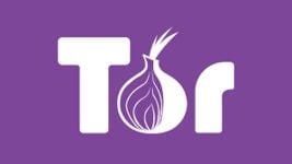 Tor обжаловал решение о блокировке сервиса в России