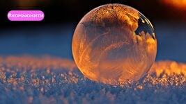 Почему люди сидят в информационных пузырях? Объясняет ученый