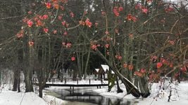 Склалі топ класных месцаў у Беларусі, якія варта наведаць ўзімку Склалі топ класных месцаў у Беларусі, якія варта наведаць ўзімку