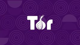 В Tor исправили уязвимость, которая позволяла следить за пользователями