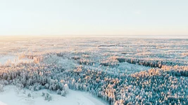 В Финляндии завели уголовное из-за дата-центра Google
