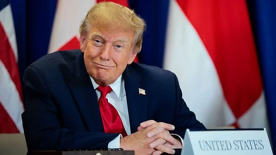Трамп переименовал ИИ — теперь все скупают словенские домены