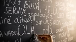Взломать кривую забывания: как белорусские разработчики обманули мозг Взломать кривую забывания: как белорусские разработчики обманули мозг