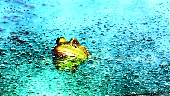 Лягушка в кипятке: учёные предупредили о «накопительном» вреде ИИ для мозга