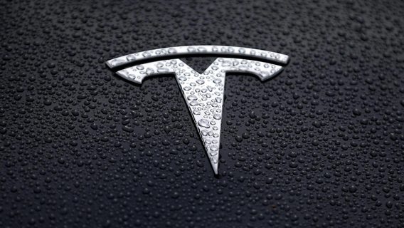 Американец купил 16 тысяч акций Tesla на бюджетные деньги, получил срок