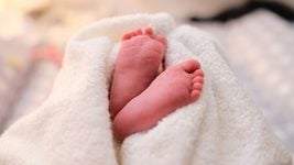 В Беларуси планируют оплачивать отпуск для отцов при рождении ребёнка В Беларуси планируют оплачивать отпуск для отцов при рождении ребёнка