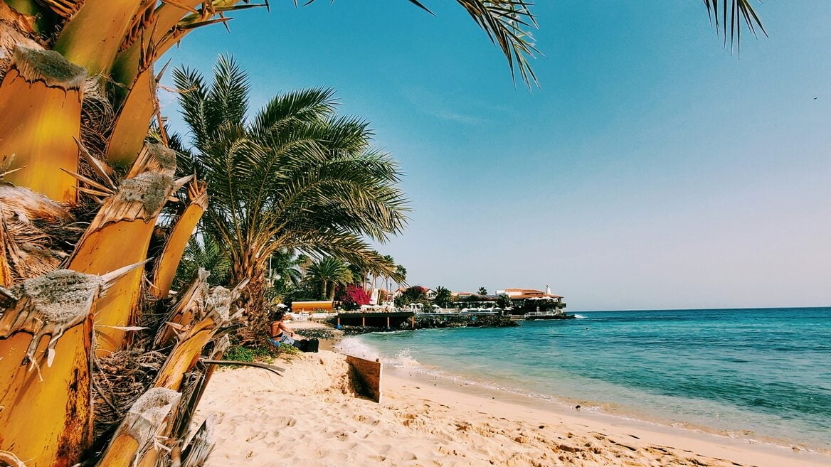 Худшая в Европе: Беларусь засветилась в мировом рейтинге ИИ