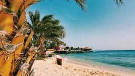 Худшая в Европе: Беларусь засветилась в мировом рейтинге ИИ