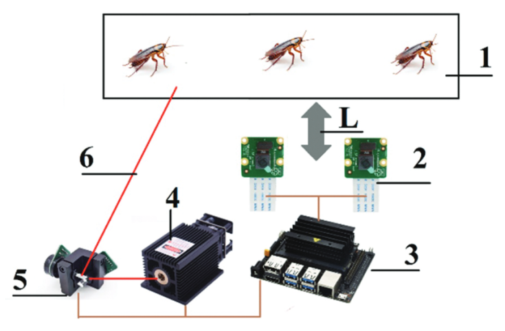 Как тараканы учатся использовать принтеры: сильнее ли они в борьбе?