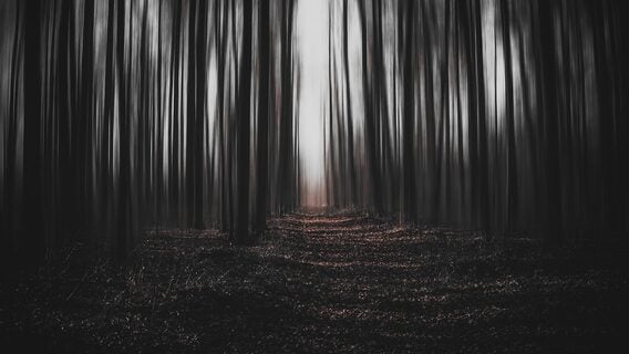 Как перестать бояться нового: инструкция по выживанию для айтишников XXI века