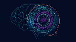 Google придумала, как помочь ИИ не забывать старые знания