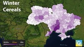 OneSoil составил карты озимых в Украине и передал их в Минагро