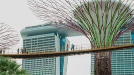 «С этим намного лучше, чем в Беларуси». Страшно ли жить в Сингапуре, где могут выпороть (теперь и за скам)