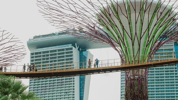 «С этим намного лучше, чем в Беларуси». Страшно ли жить в Сингапуре, где могут выпороть (теперь и за скам)