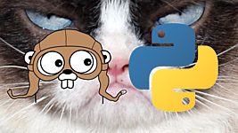 Google создала Grumpy — транскомпилятор Python в Go 