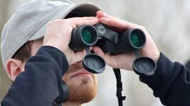 Вот кого нанимают в Беларуси Lesta, Mapbox и другие известные продуктовики  