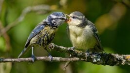 Понимать, а не контролировать: 9 курсов, которые изменят ваш взгляд на обучение ребенка Понимать, а не контролировать: 9 курсов, которые изменят ваш взгляд на обучение ребенка