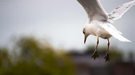 Meta, Google и OpenAI теряют топовых ИИ-исследователей — они уходят и сразу поднимают миллиарды