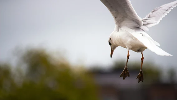 Meta, Google и OpenAI теряют топовых ИИ-исследователей — они уходят и сразу поднимают миллиарды