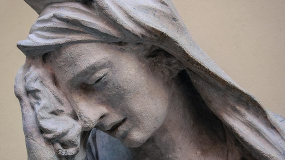 «Законнее некуда»: в Чехии скандал из-за доната на €40 млн, который правительство приняло от программиста-драгдилера