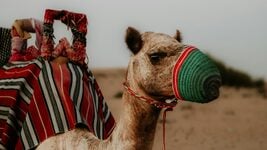 «Звольнілі па сукупнасці фактараў». Гэтыя айцішнікі няўдала пажартавалі «Звольнілі па сукупнасці фактараў». Гэтыя айцішнікі няўдала пажартавалі