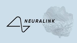 Neuralink получила разрешение на тестирование нейрочипов на людях