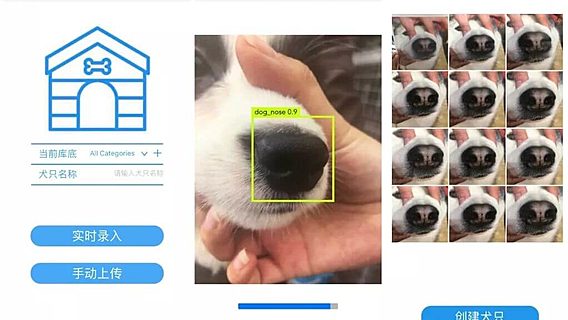 Китайский стартап распознаёт собак по отпечатку носа 