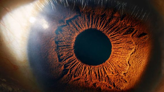 Стартап сооснователя Neuralink показал имплант для людей с проблемами зрения