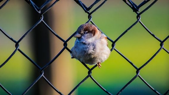 «Карьера — тоже продукт». Разбираемся, как научиться управлять своим развитием, а не плыть по течению «Карьера — тоже продукт». Разбираемся, как научиться управлять своим развитием, а не плыть по течению