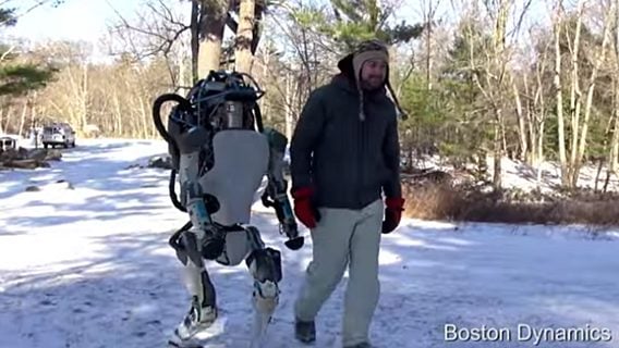 Заглянуть в завтра: робот, который гуляет по лесу и встаёт после ударов 