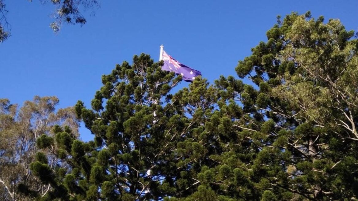 «Первые года 4 было классно». Сеньор уже гражданин Австралии рассказал как там с айтишкой и пауками 