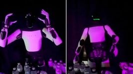 Робот Tesla Optimus опять спалился: все думают, что им управляет человек