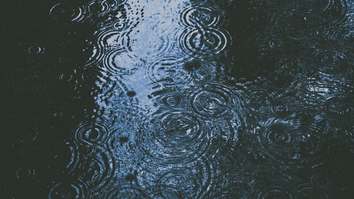 Bloomberg рассказал про погодный ИИ-стартап который запустили беларусы