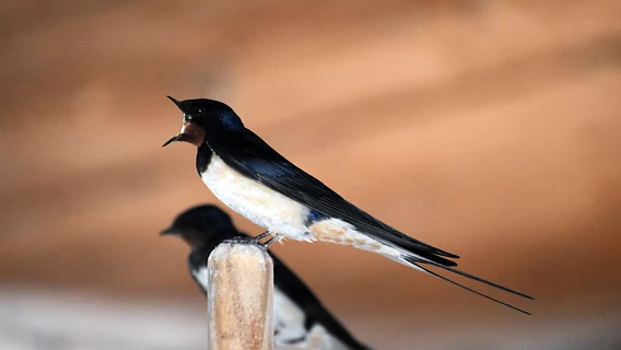 Оффер, бюджет, споры о продуктовых решениях: подборка курсов и местерклассов, где учат вести сложные переговоры